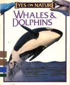 Whales & Dolphins eyes on nature