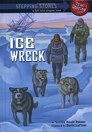 Ice wreck