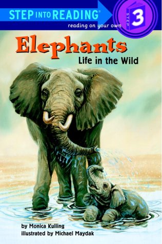 Elephants : life in the wild
